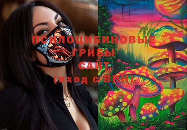 ешки Алексин